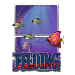 free embird download mac